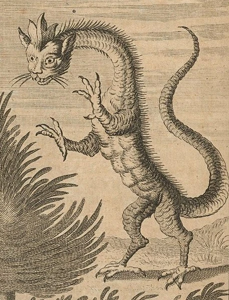 A depiction of the Tatzelwurm, a long creature with a slender snake-like body, four stout, talon like legs, and a feline head with a crown like adornment stemming from the forehead.